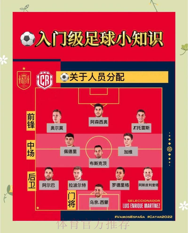 全面解析世界杯比分入口的核心功能